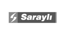 Saraylı